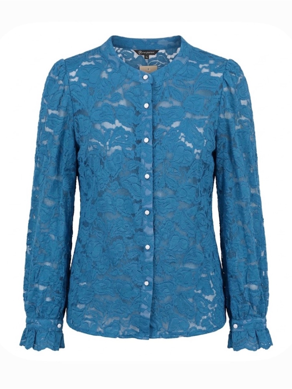 PRETTYGARDEN Semi-Sheer Button Up, Blouse, Women’s L, Blue